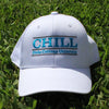 Official 3Bar Game Collab Hat - CHILL (Dicks Cottons University) - Dicks Cottons Sunglasses
 - 2